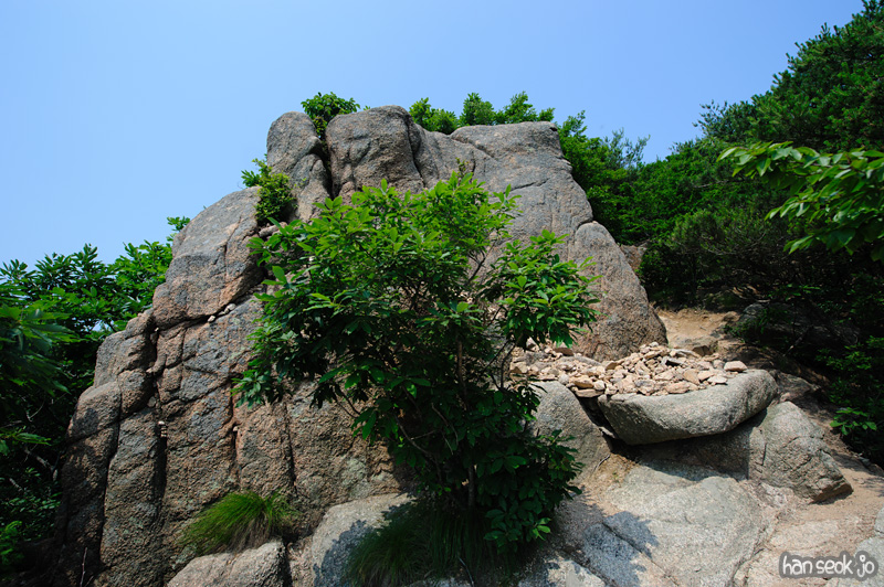 HSJ_0548.jpg