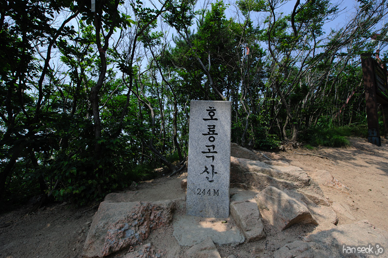 HSJ_0544.jpg