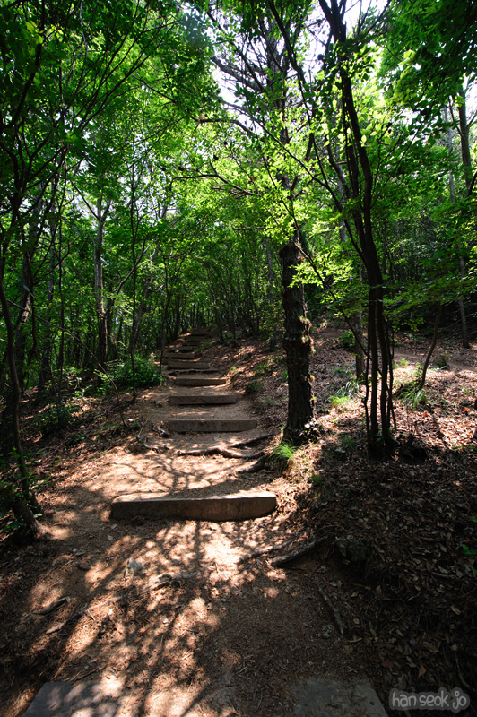 HSJ_0541.jpg