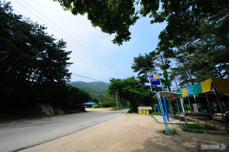 HSJ_0556.jpg