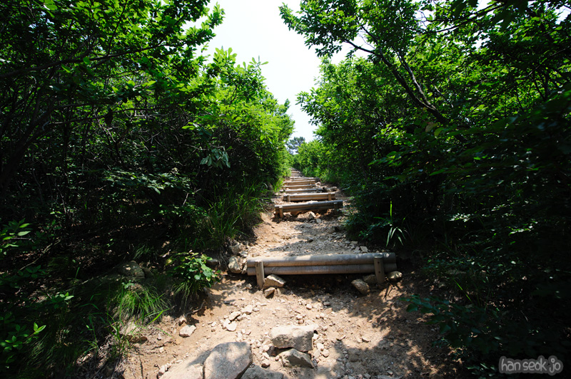 HSJ_0523.jpg