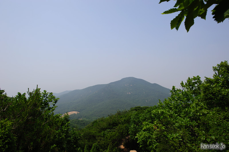 HSJ_0542.jpg