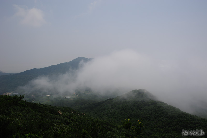 HSJ_0529.jpg