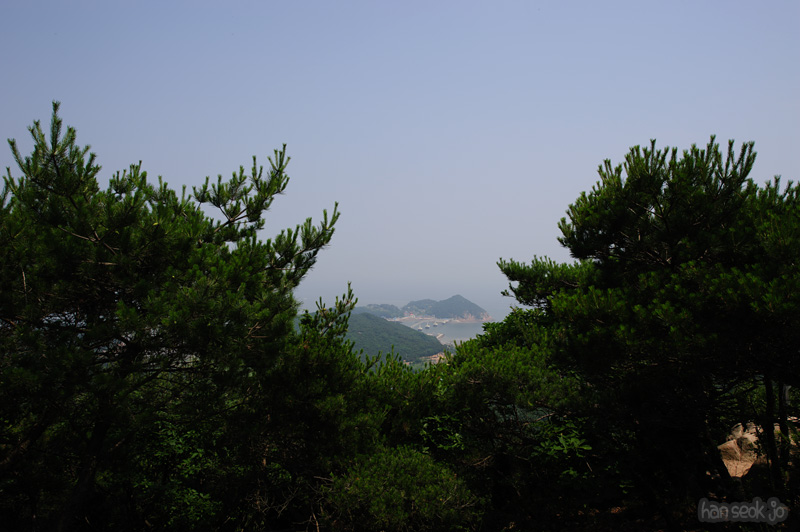 HSJ_0543.jpg