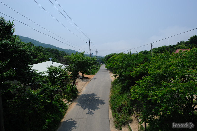 HSJ_0539.jpg