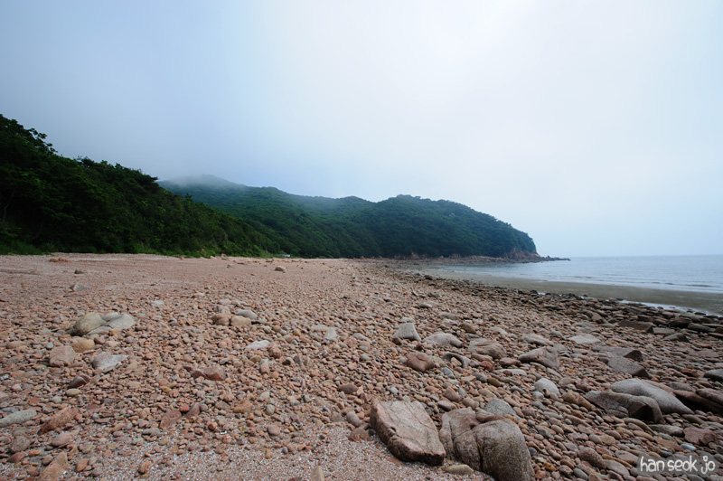 HSJ_0549.jpg