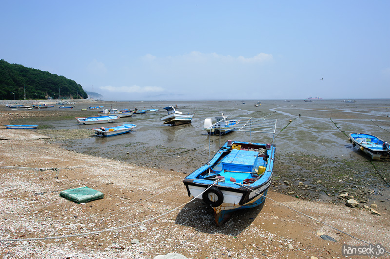 HSJ_0520.jpg