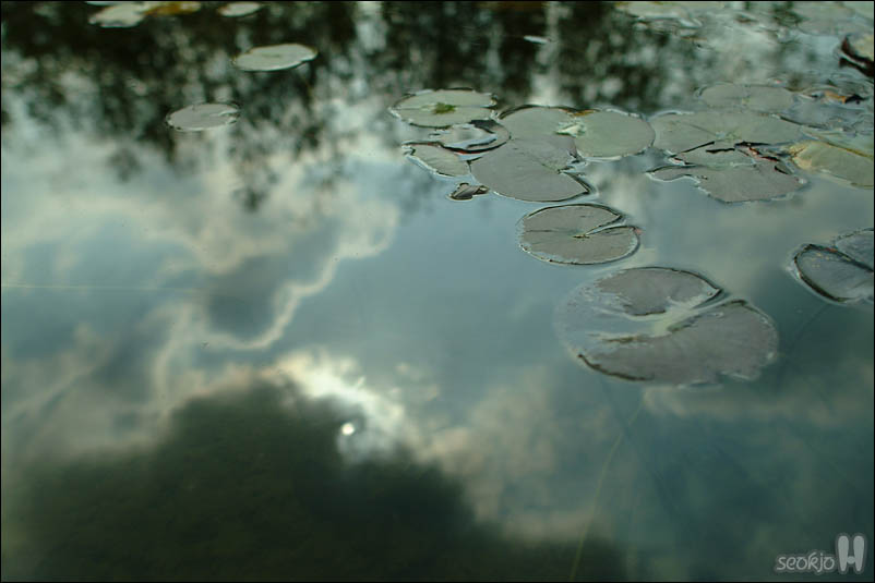 DSCF3263.jpg
