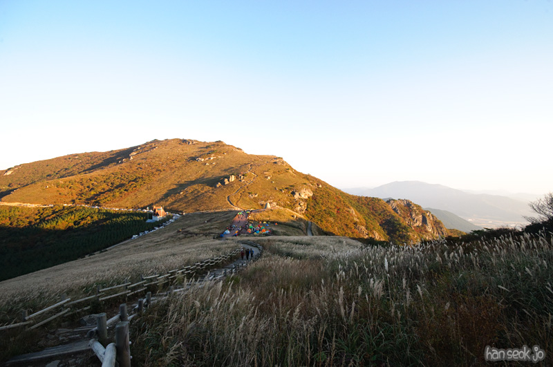 DSC_8842.jpg