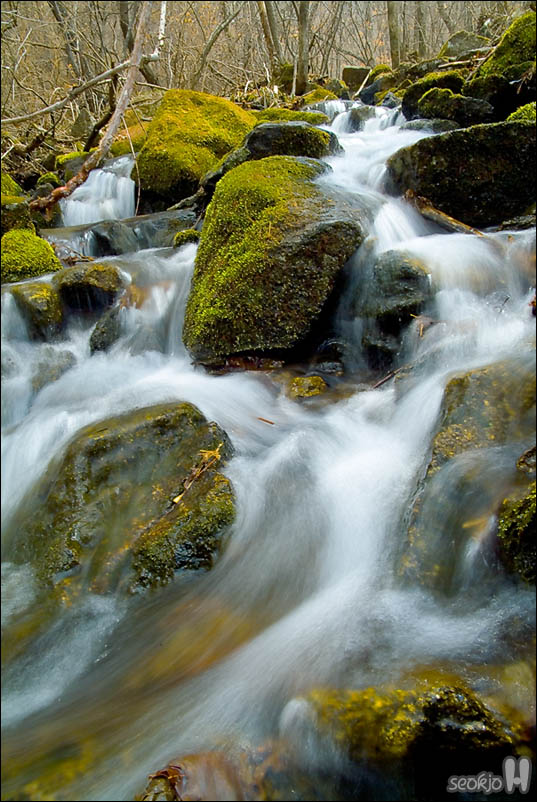 DSCF3160.jpg