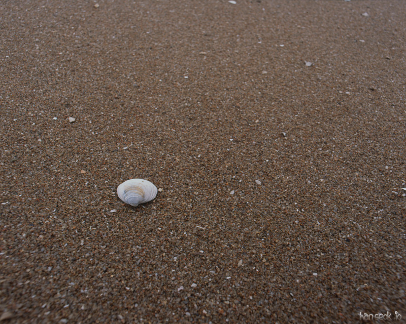 img041.jpg
