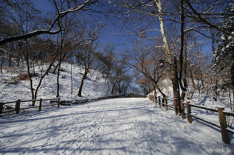 HSJ_6928.jpg