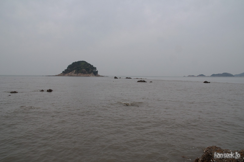 DSC_5847.jpg