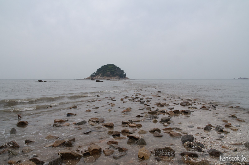 DSC_5849.jpg