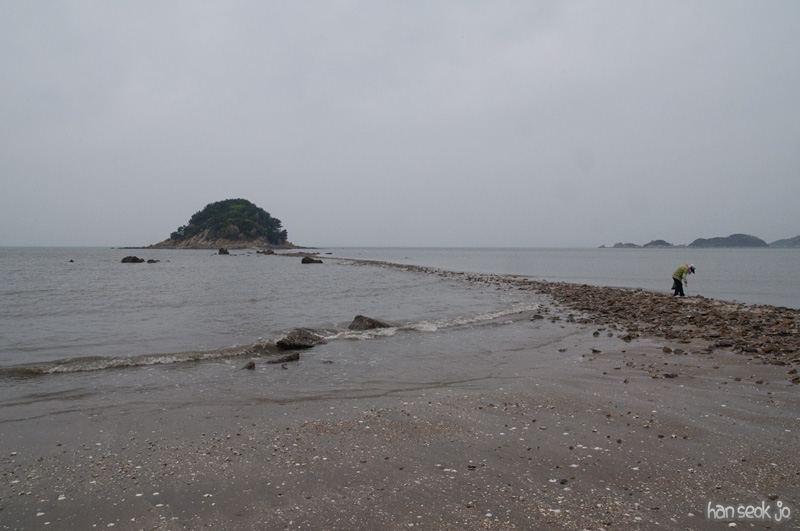 DSC_5853.jpg