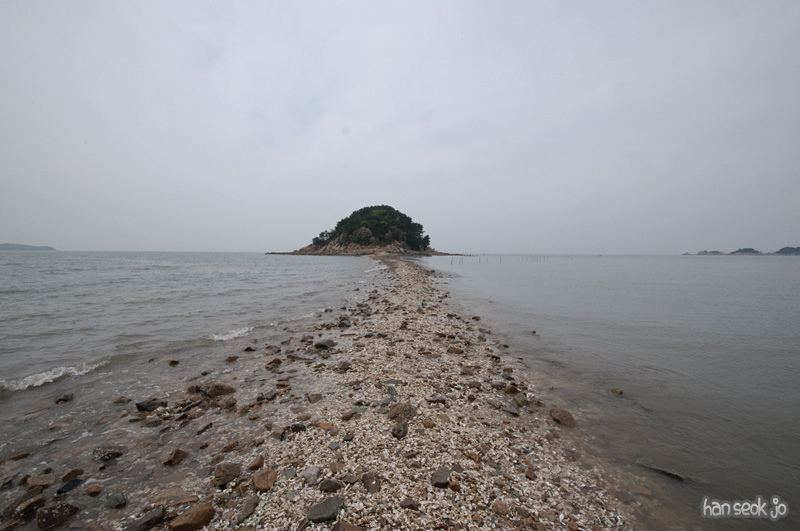 DSC_5857.jpg