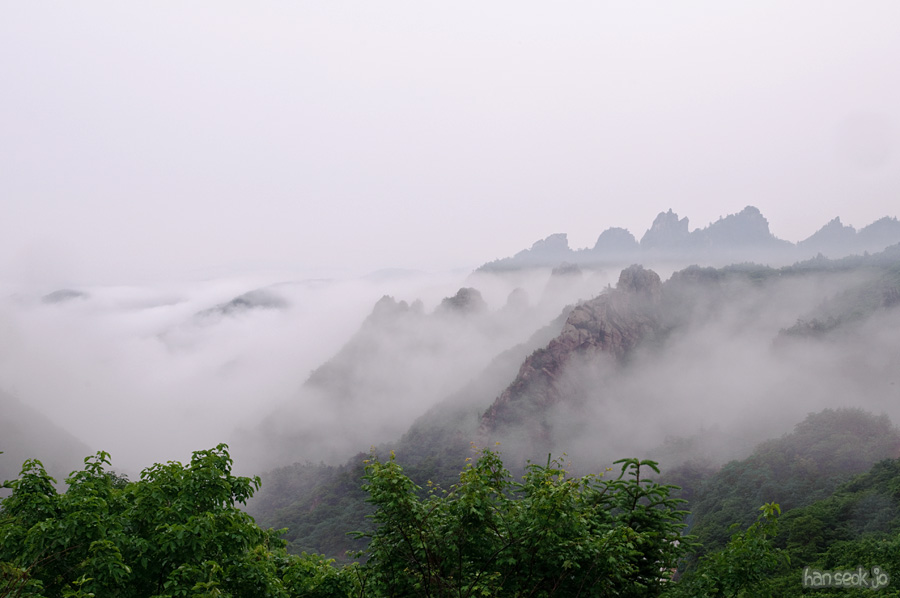 DSC_2234.jpg