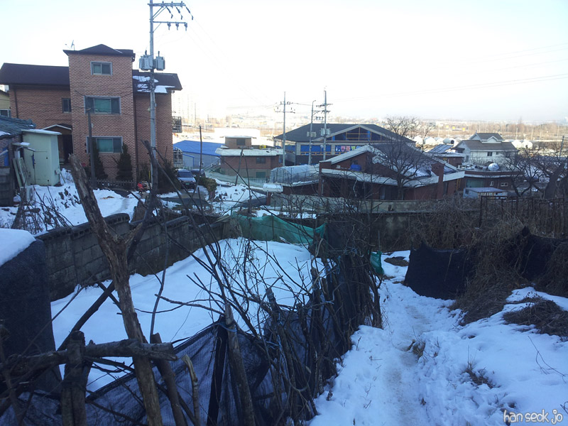 20130216_1.jpg