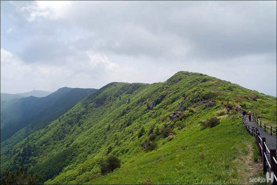 DSCF3986.jpg