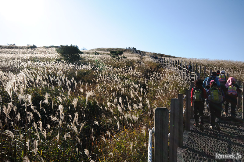 DSC_8874.jpg