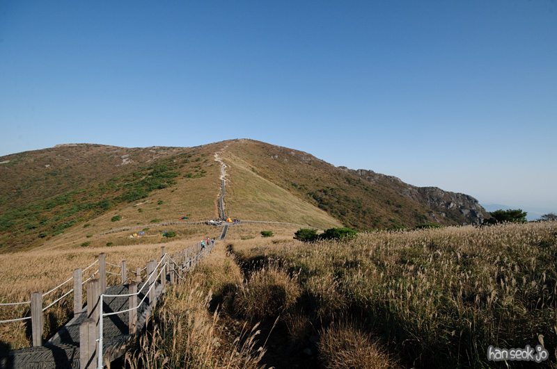 DSC_8883.jpg