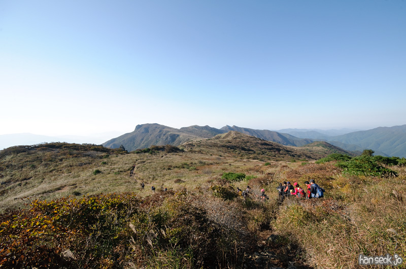 DSC_8884.jpg