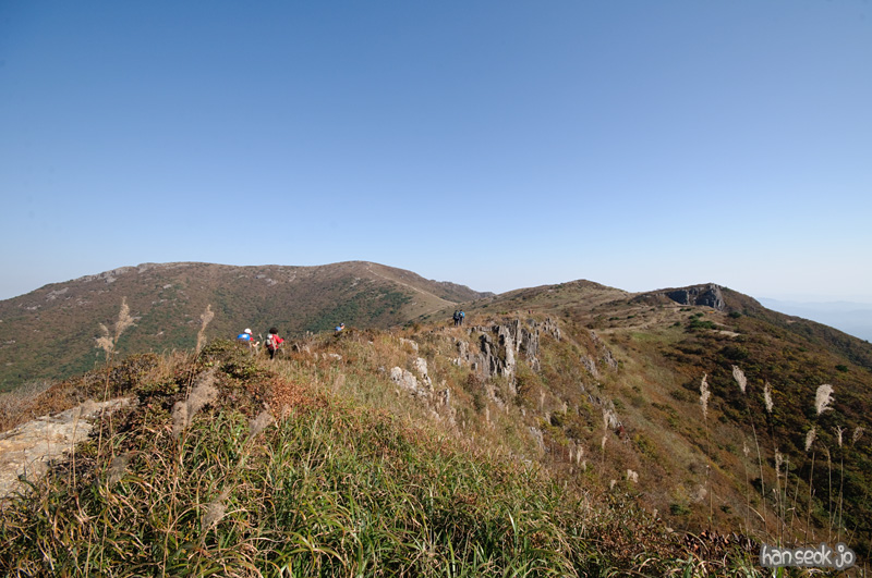DSC_8924.jpg