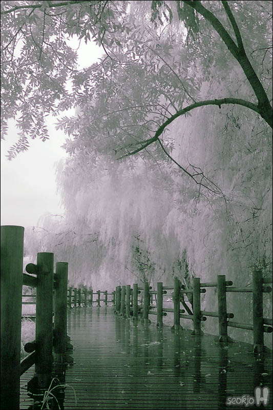 DSCF5204.jpg