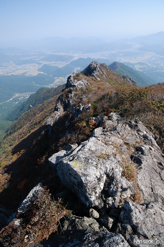 DSC_8949.jpg