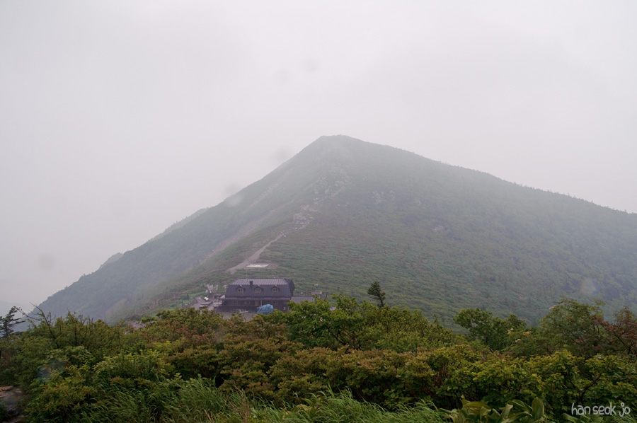 DSC_2241.jpg
