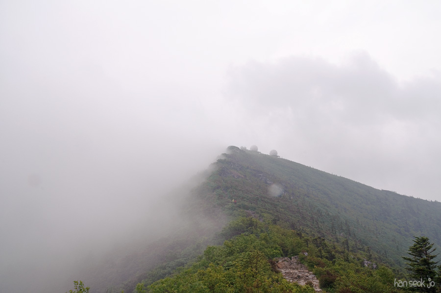 DSC_2250.jpg