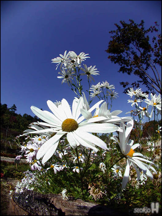 DSCN0169.jpg