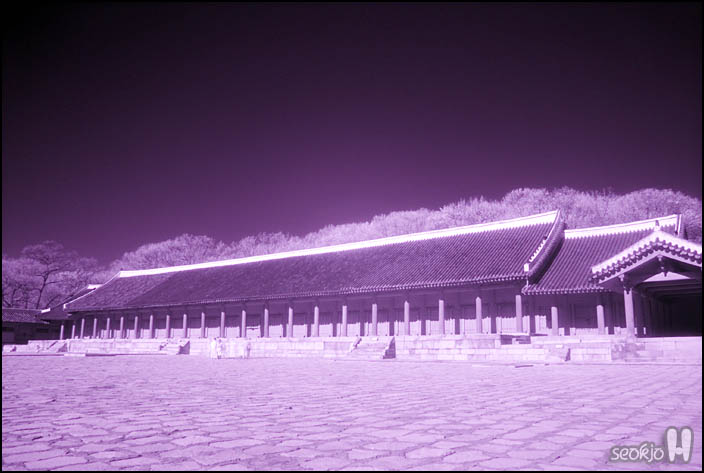 DSCF1247.jpg