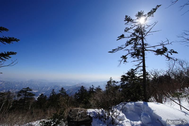 HSJ_8076.jpg