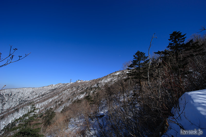 HSJ_8077.jpg