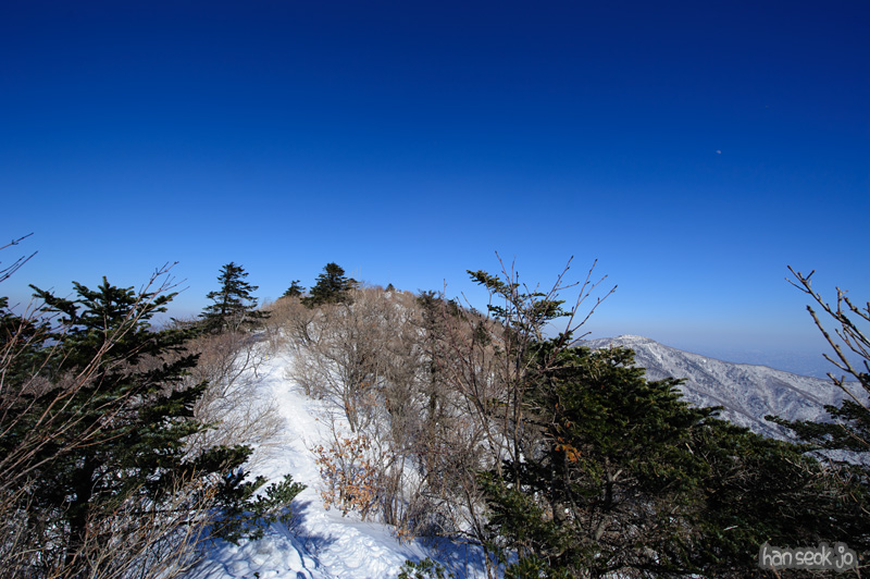 HSJ_8074.jpg