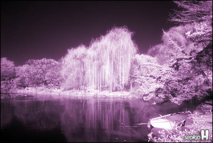 DSCF1250.jpg