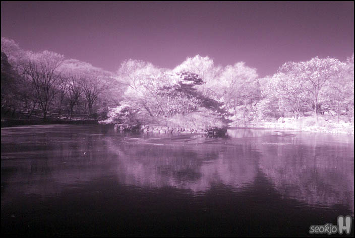 DSCF1252.jpg