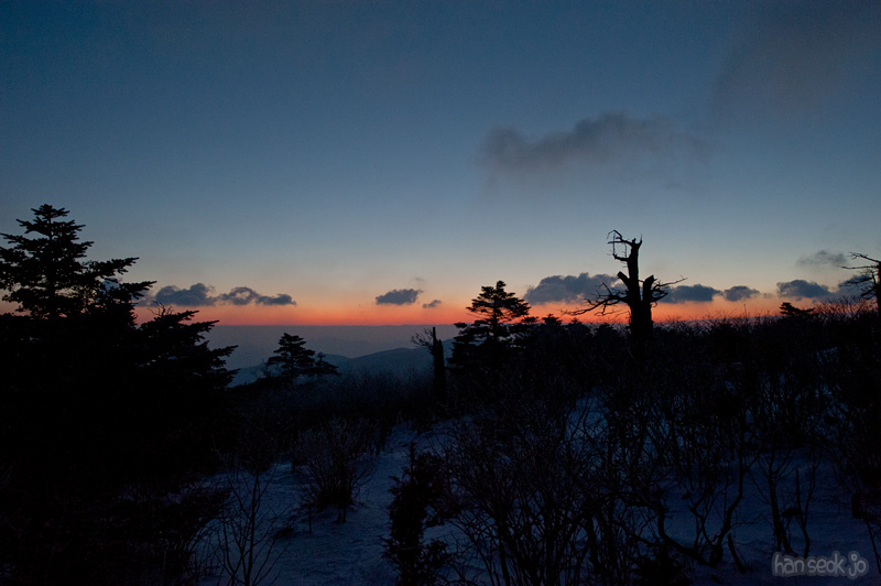 HSJ_6253.jpg