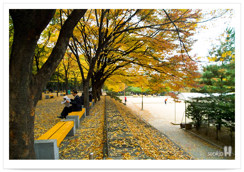 DSCF6353.jpg