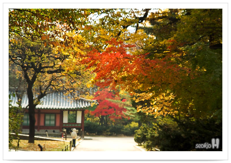 DSCF6381.jpg