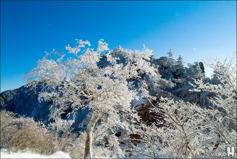 DSCF6520.jpg