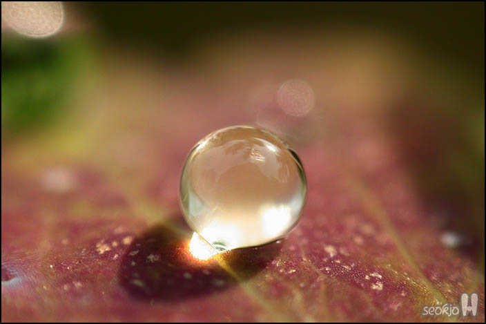 DSCN9656.jpg