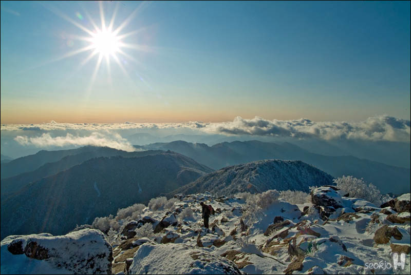 DSCF6459.jpg