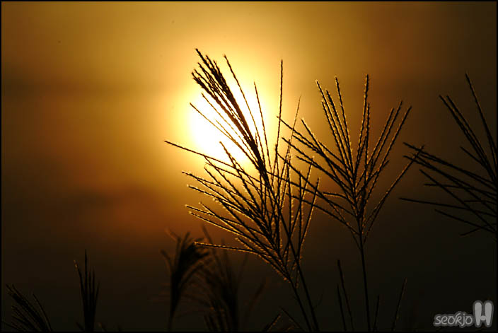 DSCF0518.jpg