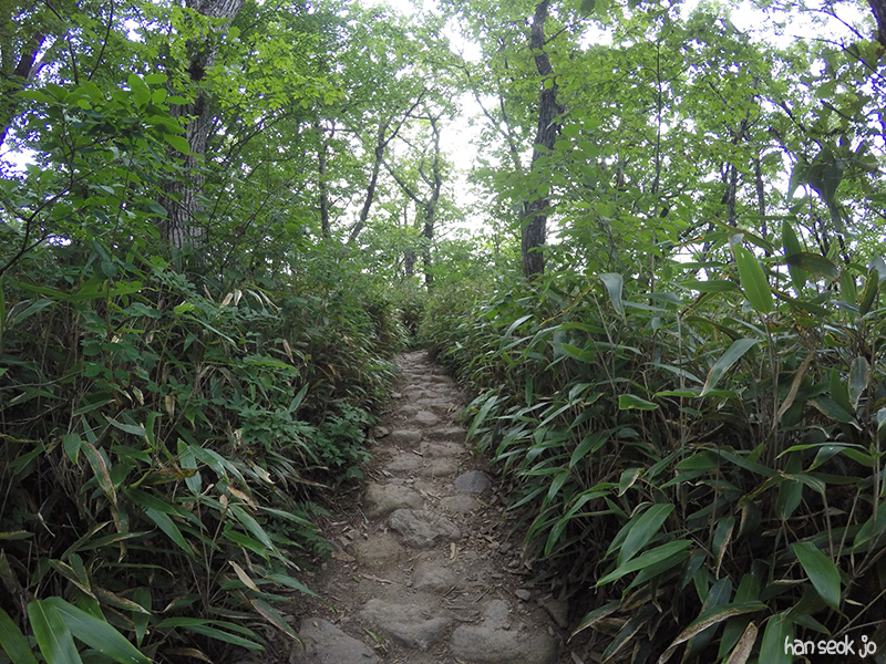 GOPR2598.jpg