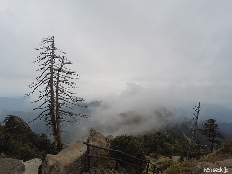 GOPR2638.jpg