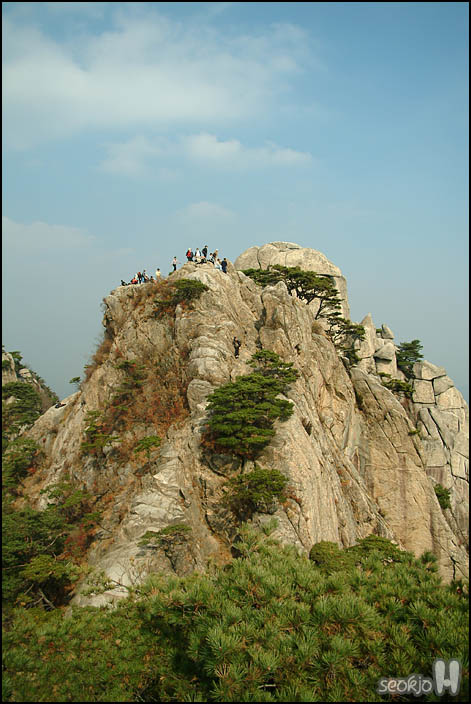 DSCF0584.jpg