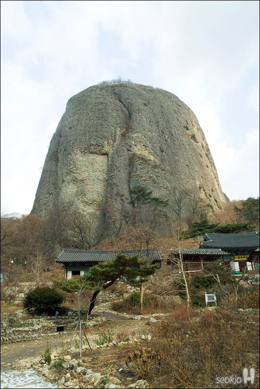 DSCF6579.jpg