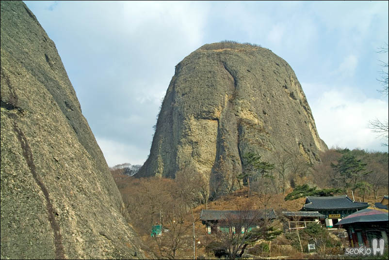 DSCF6581.jpg